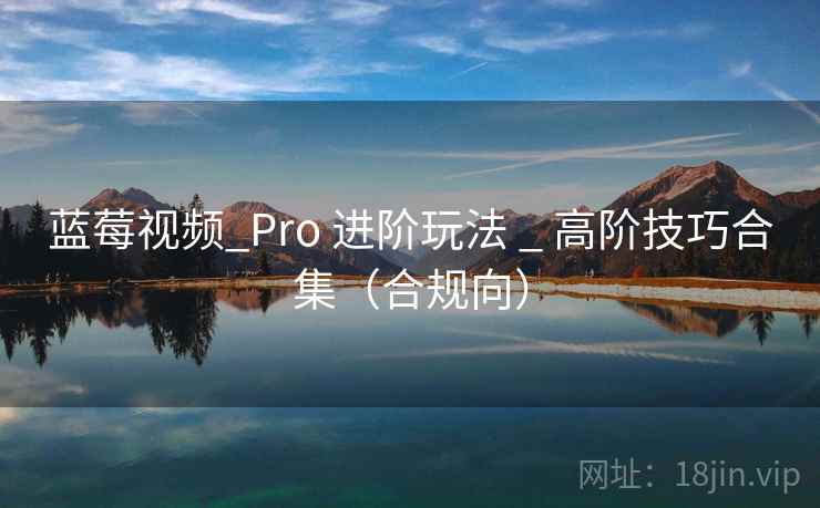 蓝莓视频_Pro 进阶玩法 _ 高阶技巧合集(合规向)